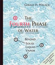 Fourth Phase of Water: Beyond Solid, Liquid and Vapor