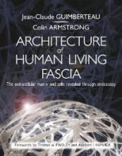 Architecture of the Human Living Fascia