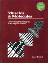Muscles and Molecules: Uncovering the Principles of Biological Motion 
