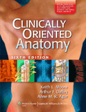 Clinically Oriented Anatomy - 6th Edition