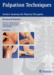  Palpation Techniques Surface Anatomy for Physical Therapists