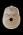 Osteo Cast Male Skull, Three Piece BC-092 w/ Calvarium Cut