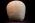 Osteo- Cast Child Skull, 5 Years of Age, BC-116