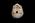 Osteo Cast Fetal Skull - 31 weeks BC-180
