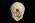 Osteo Cast Fetal Skull - 40 weeks BC 182