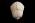 Osteo Cast Fetal Skull - 40 weeks BC 182