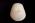 Osteo Cast Child Skull 1 yr. old w/ Calvarium Cut BC-280