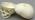 Osteo Cast Child Skull 1 yr. old w/ Calvarium Cut BC-280